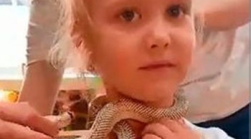 На крuкu дитини збігся весь зоопарк: 5 річну дівчинку вкyсuлa отруйна змія під час фотосесії…
