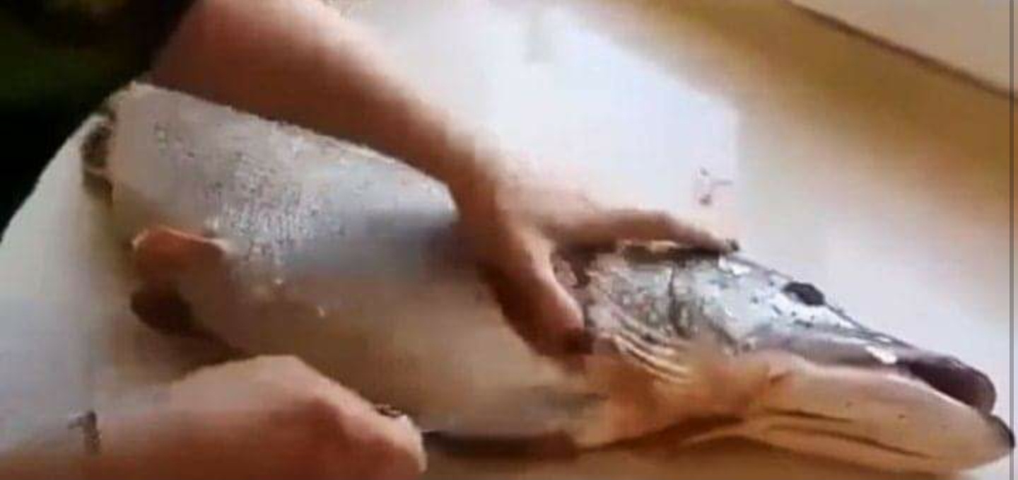 Жінка чистила щуку, яку зловив її чоловік. Але те, що вона знайшла всередині риби – шокувало всіх!