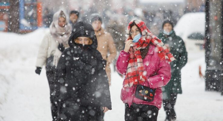 “Ого, вже що зима?” – В Україні різко похолодало до -9, все покрито інеєм…