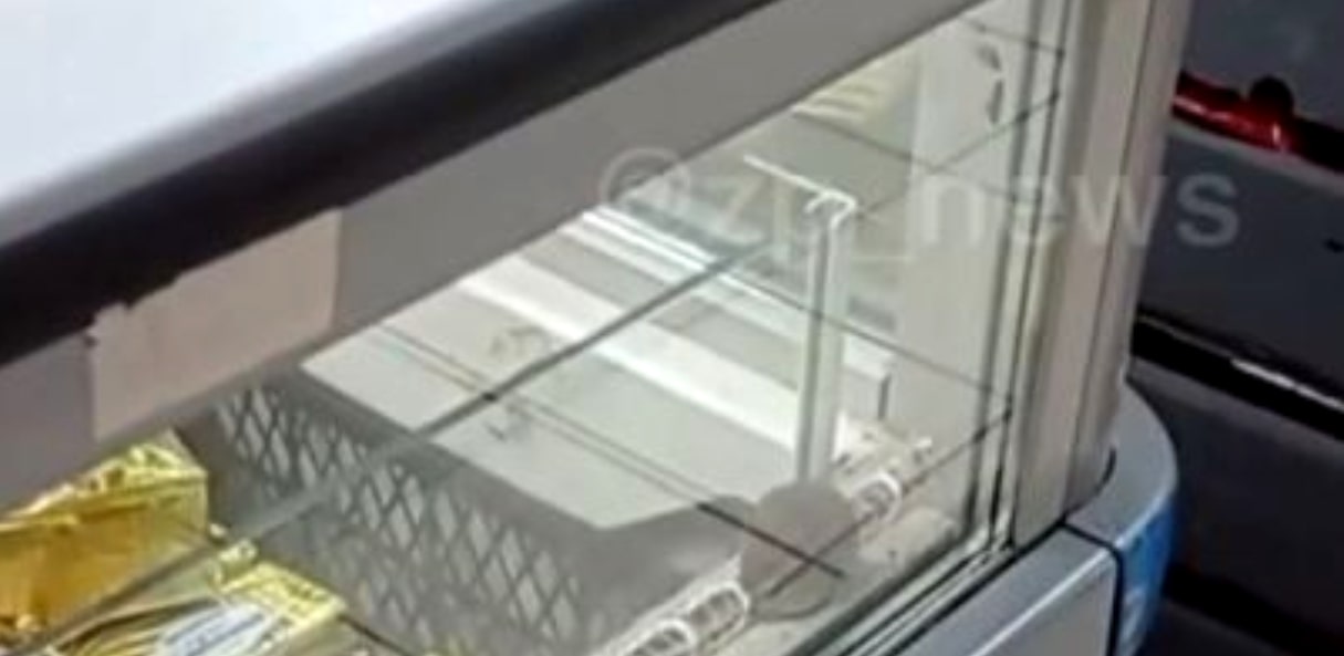 Відео. У Запорізькому супермаркеті серед заморожених млинців знайшли шокуючу знахідку…