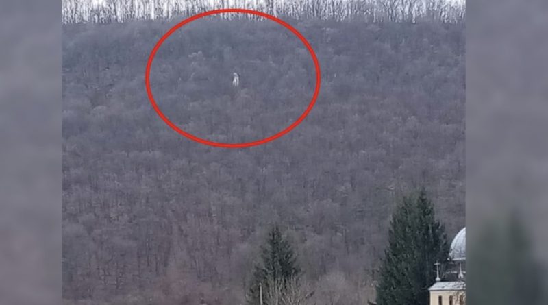 Що би це означало?! На заході України в лісі з’явилася Бoжa Матір – очевидці викладають фото в мережу