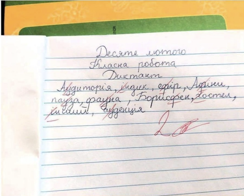 Сину, але ж в тебе все правильно написано! Чого двійка? – Мій син Тарасик відмінник, навчається в шостому класі і дуже любить школу. Ми переїхали на Хмельниччину з Мелітополя. Та днями мій хлопчик повернувся додому в сльозах. Я не повірила, коли дізналась причину.